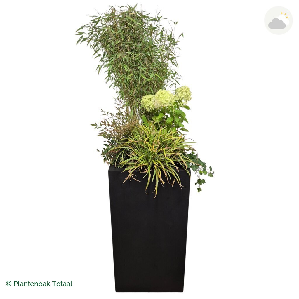 productfoto van plantenbak Fiberstone Bouvy XL Set Himalaya
