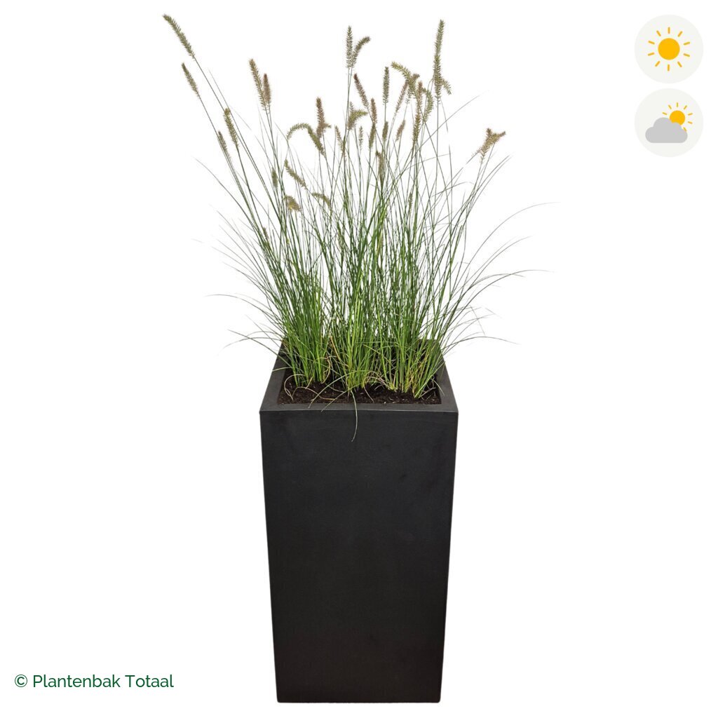 productfoto van plantenbak Fiberstone Bouvy XL Lampenpoetsersgras