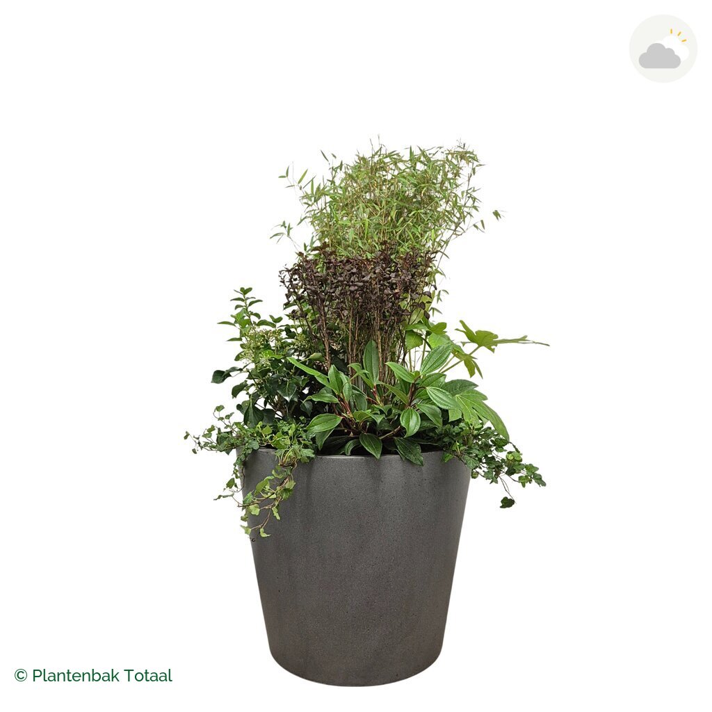 productfoto van plantenbak Fiberstone Bucket Set Amazone