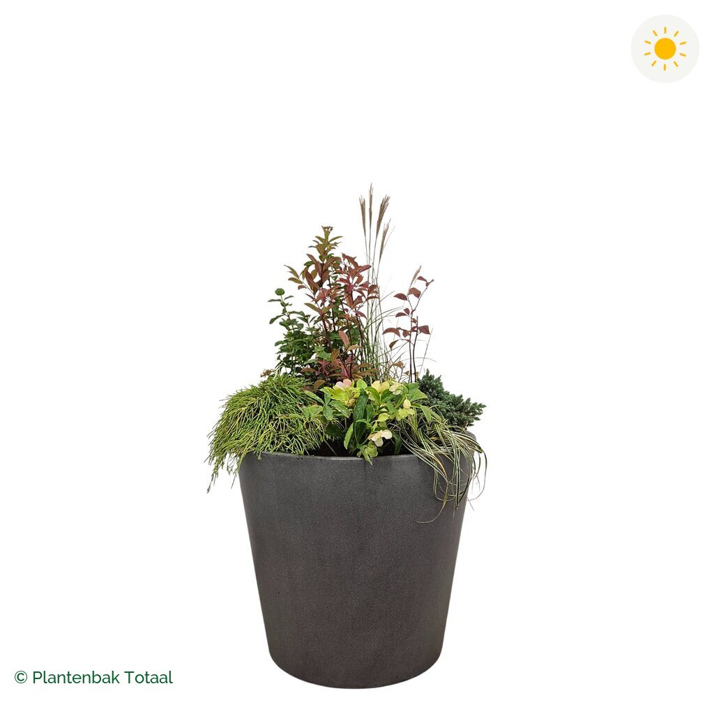 productfoto van plantenbak Fiberstone Bucket Set Bretagne