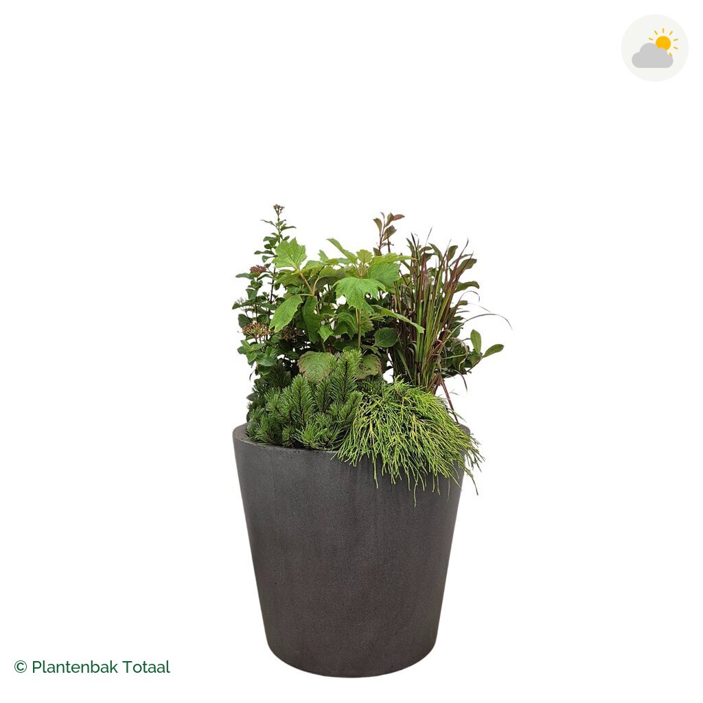 productfoto van plantenbak Fiberstone Bucket Set Eifel