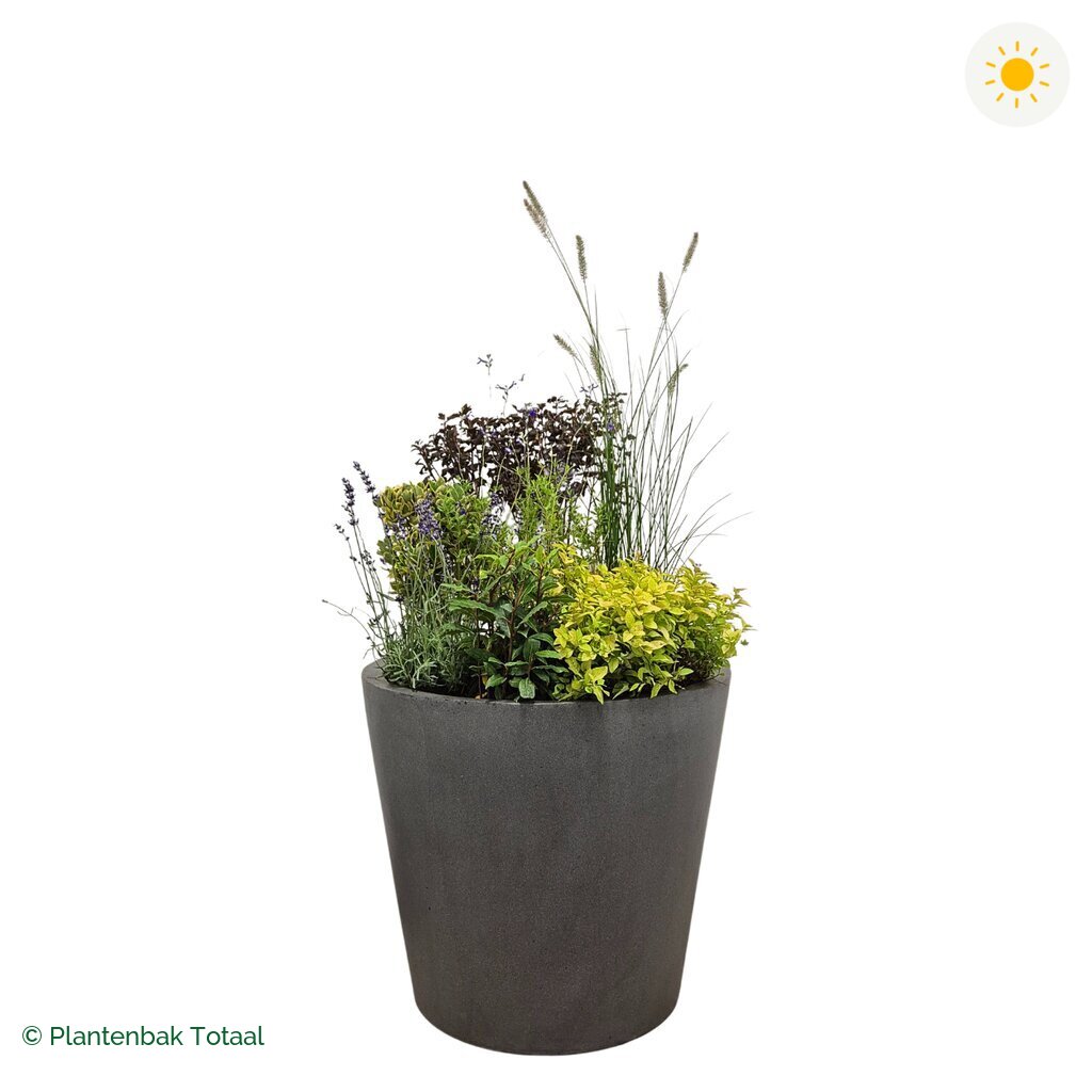 productfoto van plantenbak Fiberstone Bucket Set Provence