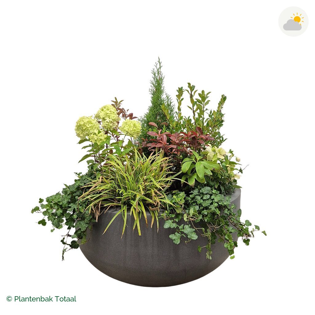 productfoto van plantenbak Fiberstone City Bowl Set Ardennen