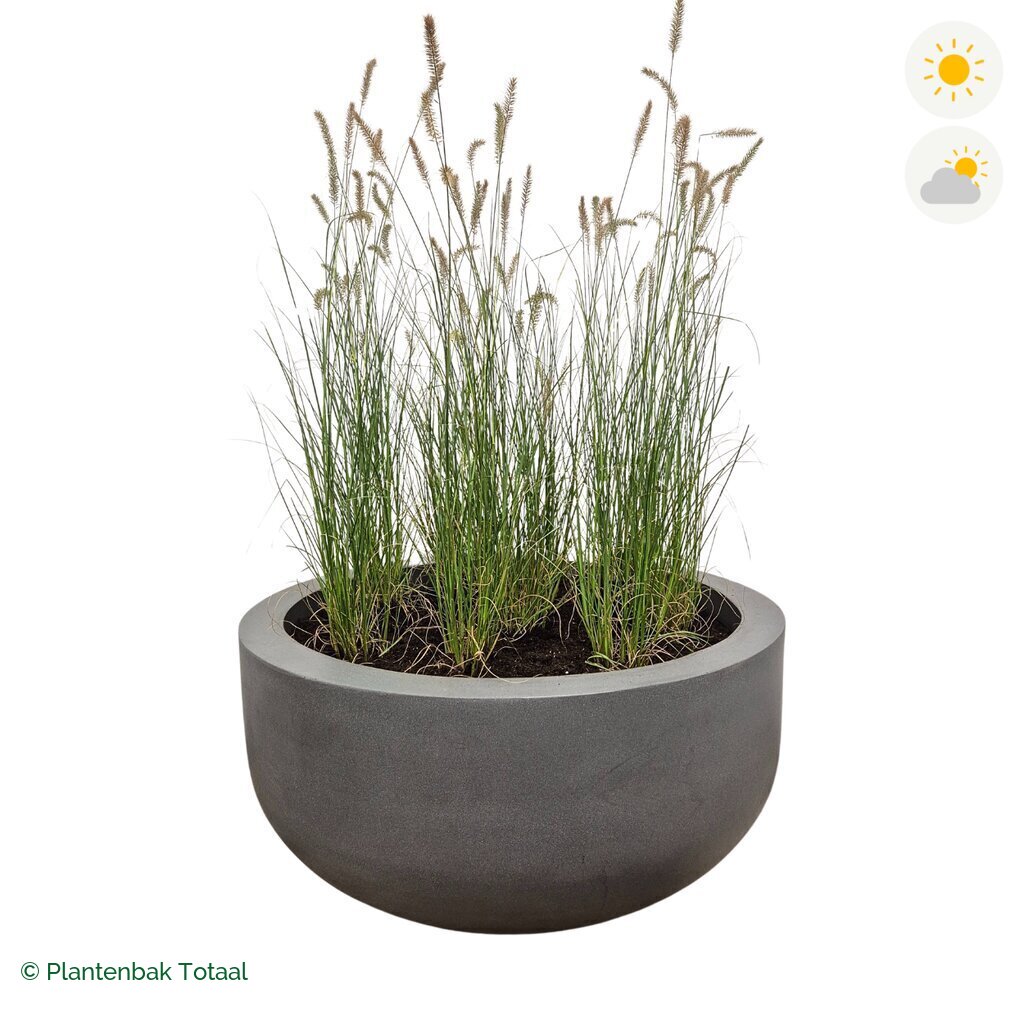 productfoto van plantenbak Fiberstone City Bowl Lampenpoetsersgras