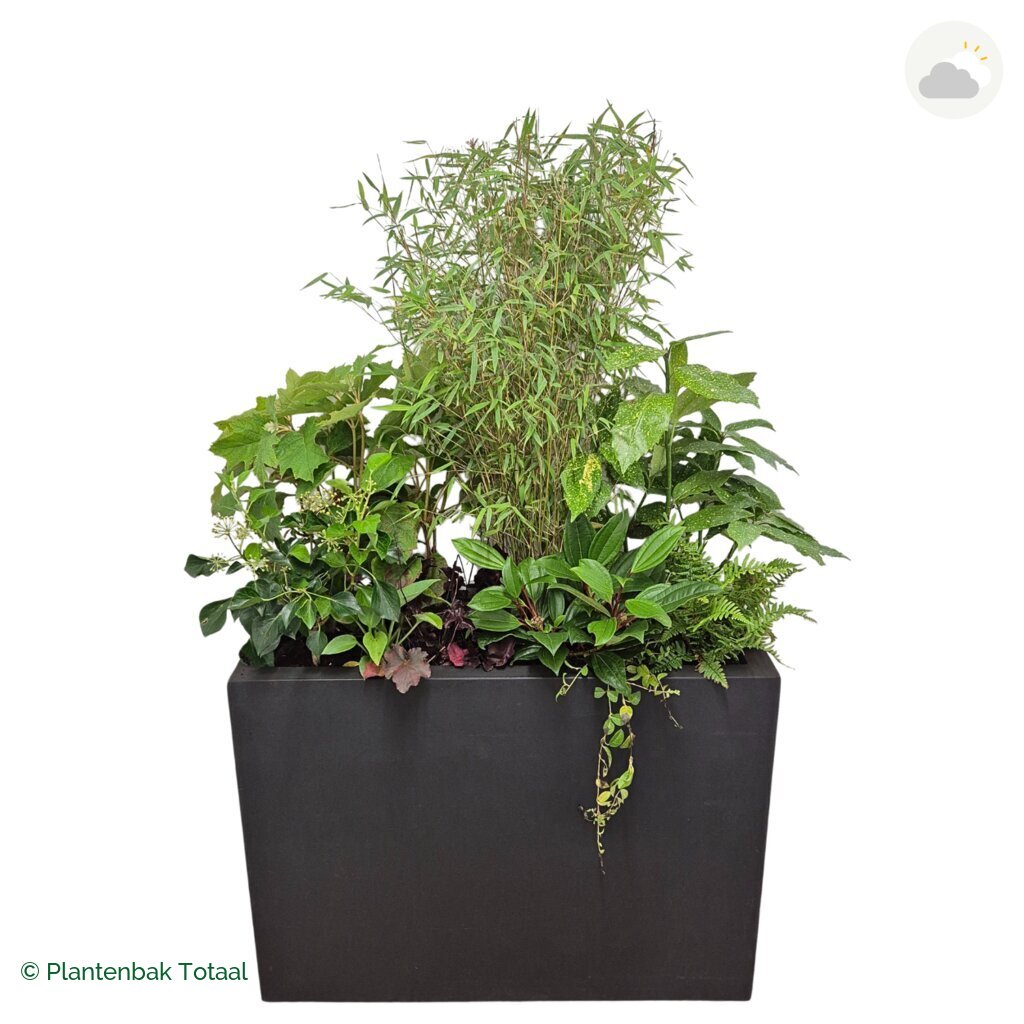 productfoto van plantenbak Fiberstone Jort Set Amazone