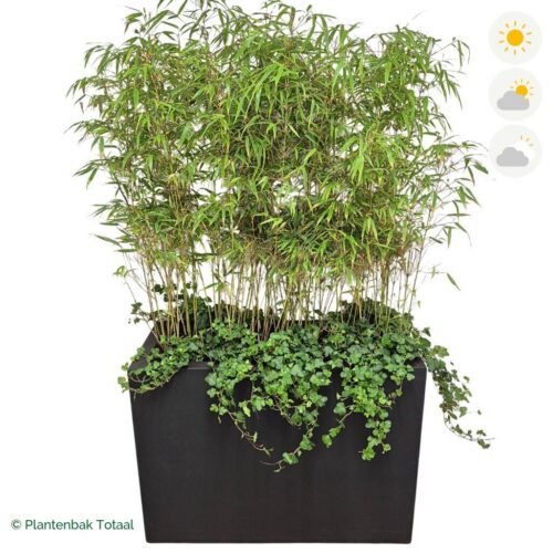 productfoto van plantenbak Fiberstone Jort Bamboe Afscheiding