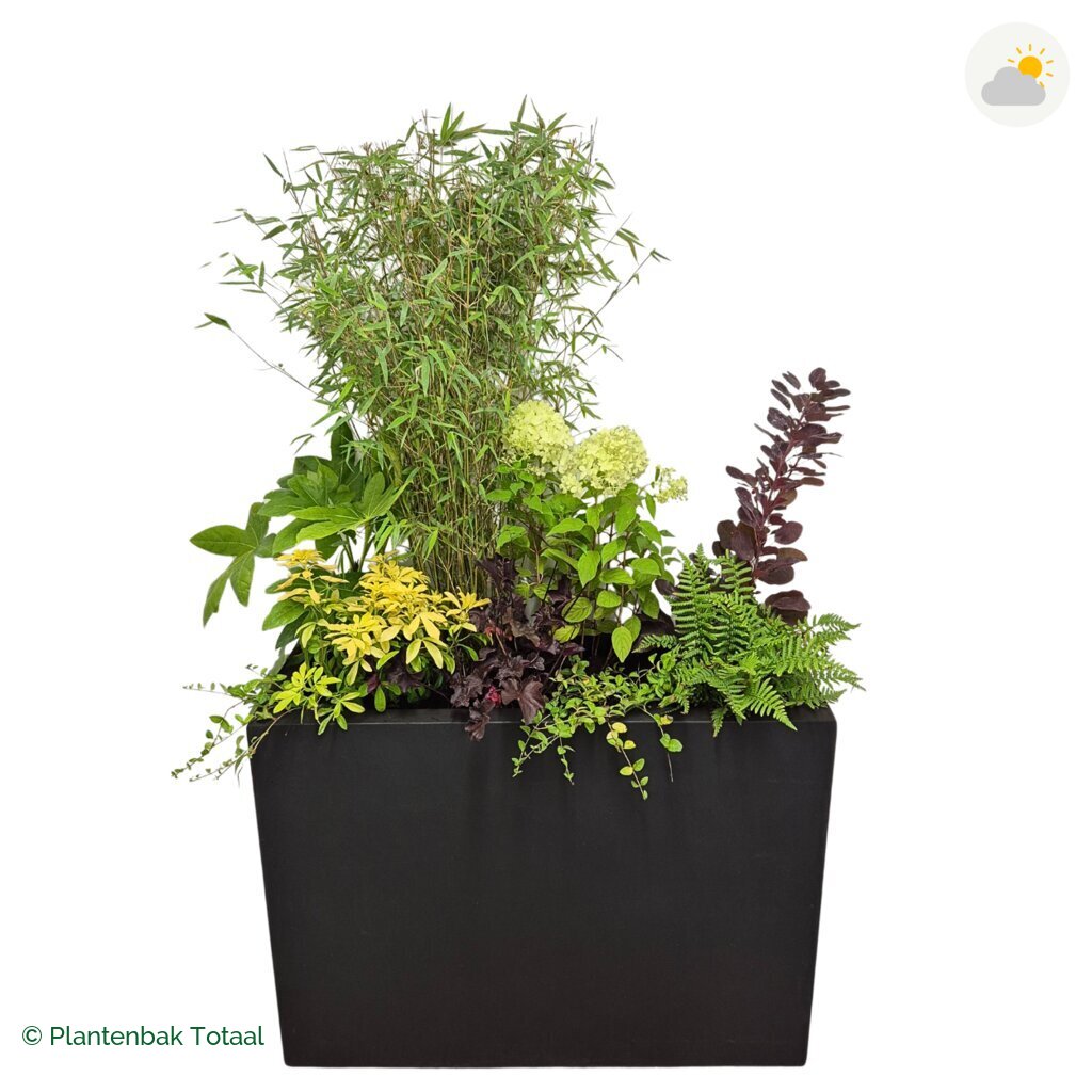 productfoto van plantenbak Fiberstone Jort Set Bohemen