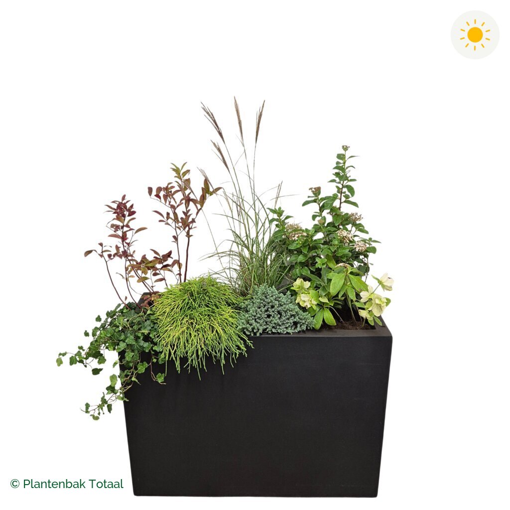 productfoto van plantenbak Fiberstone Jort Set Bretagne