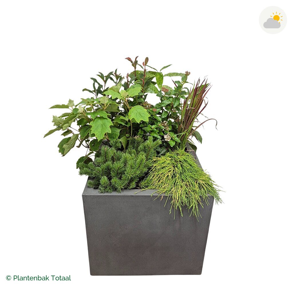 productfoto van plantenbak Fiberstone Jumbo Block Vierkant Set Eifel