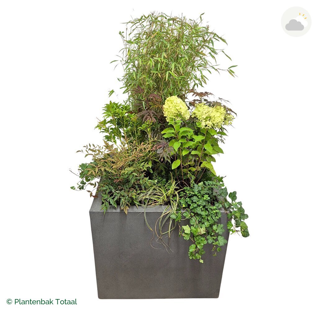productfoto van plantenbak Fiberstone Jumbo Block Vierkant Set Himalaya