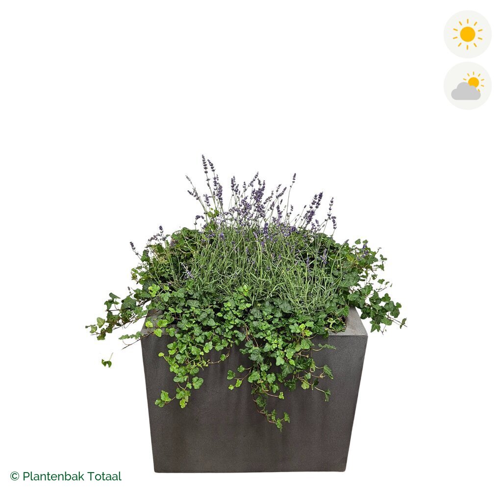 productfoto van plantenbak Fiberstone Jumbo Block Vierkant Lavendel Combinatie