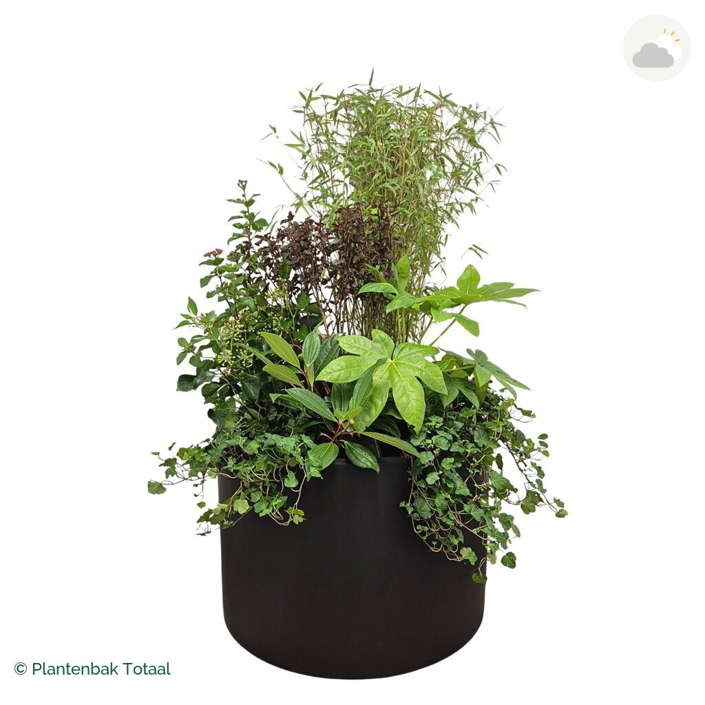 productfoto van plantenbak Fiberstone Jumbo Max Rond Set Amazone