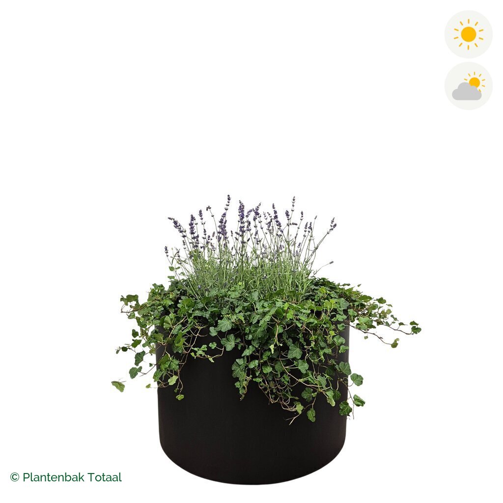 productfoto van plantenbak Fiberstone Jumbo Max Rond Lavendel Combinatie