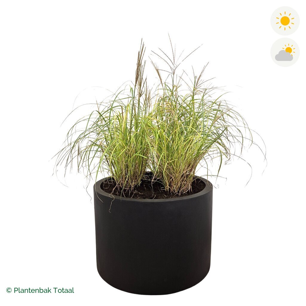 productfoto van plantenbak Fiberstone Jumbo Max Rond Prachtriet