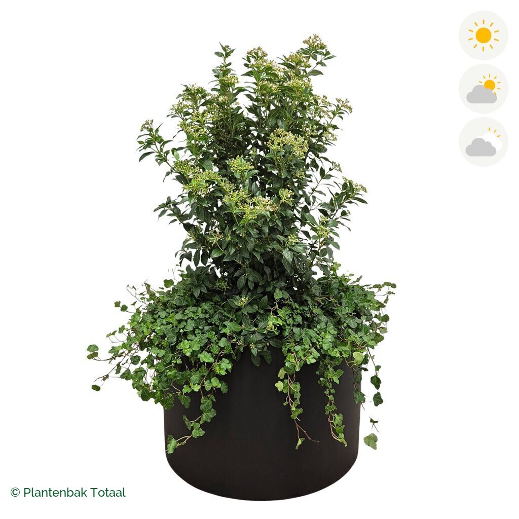 productfoto van plantenbak Fiberstone Jumbo Max Rond Sneeuwbal Combinatie