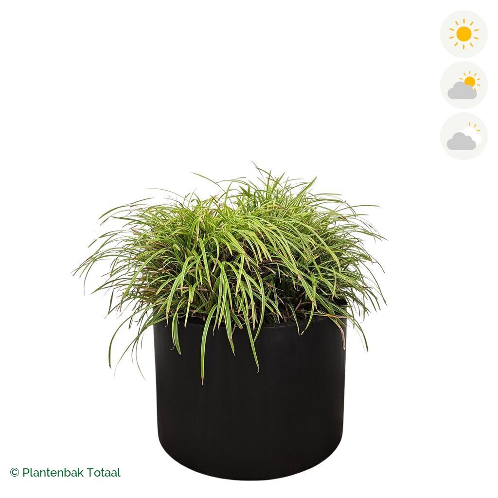 productfoto van plantenbak Fiberstone Jumbo Max Rond Zegge