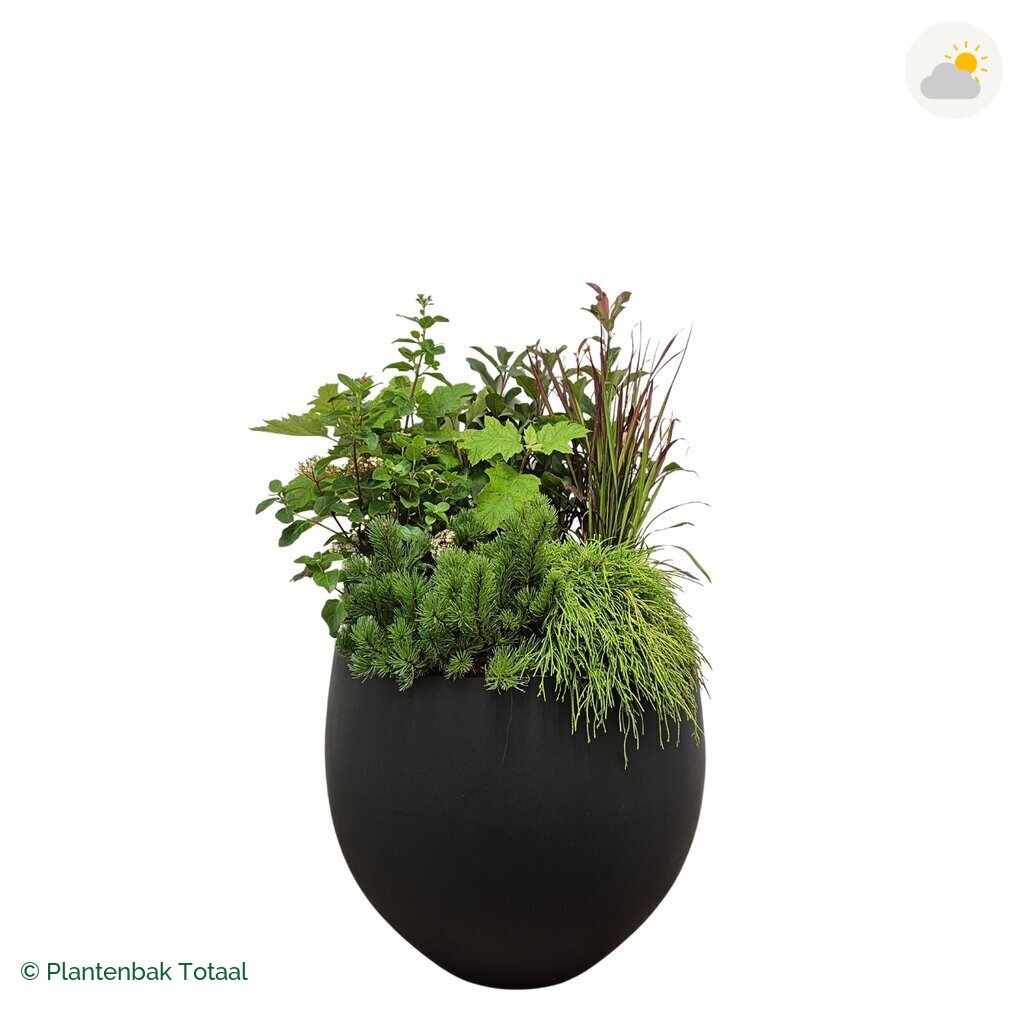 productfoto van plantenbak Fiberstone Orb Set Eifel