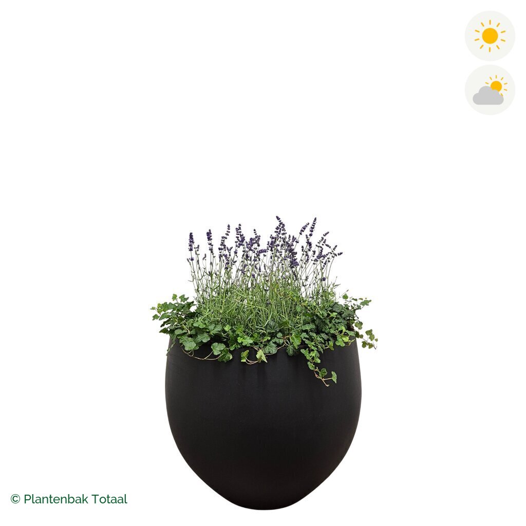 productfoto van plantenbak Fiberstone Orb Lavendel Combinatie