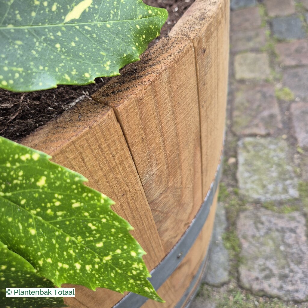 productlijn foto van plantenbak EH Half Wijnvat rond