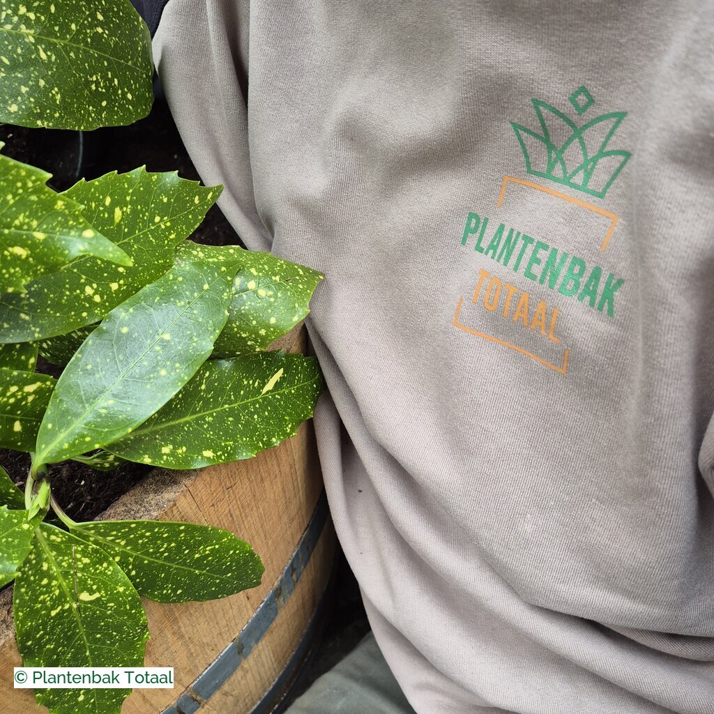 productlijn foto van plantenbak EH Half Wijnvat rond