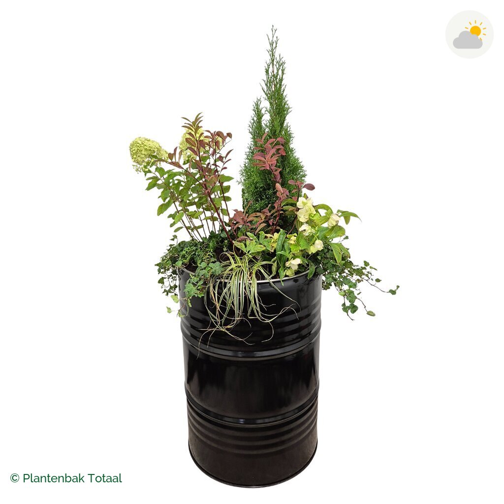productfoto van plantenbak Metalen Olievat Set Ardennen