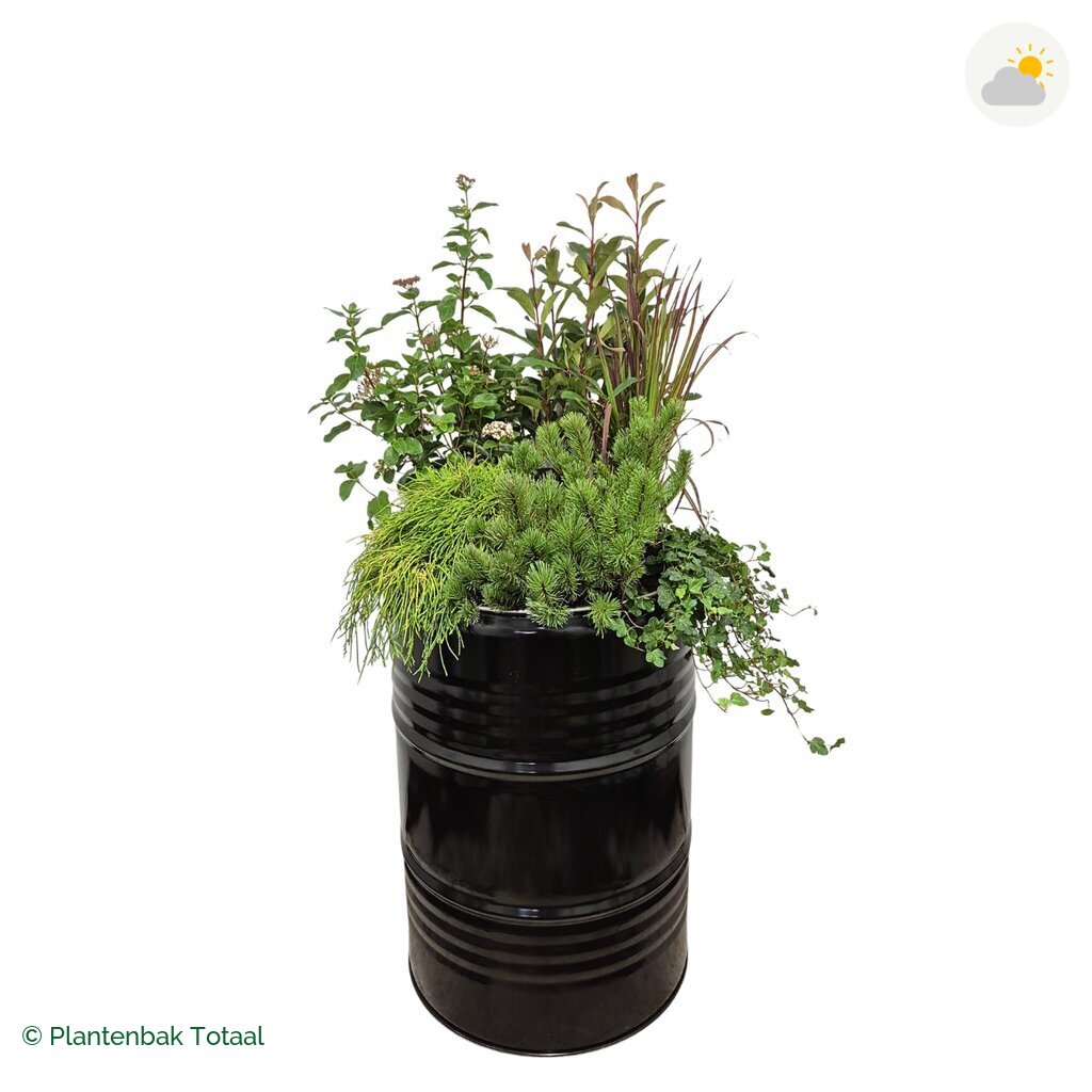 productfoto van plantenbak Metalen Olievat Set Eifel