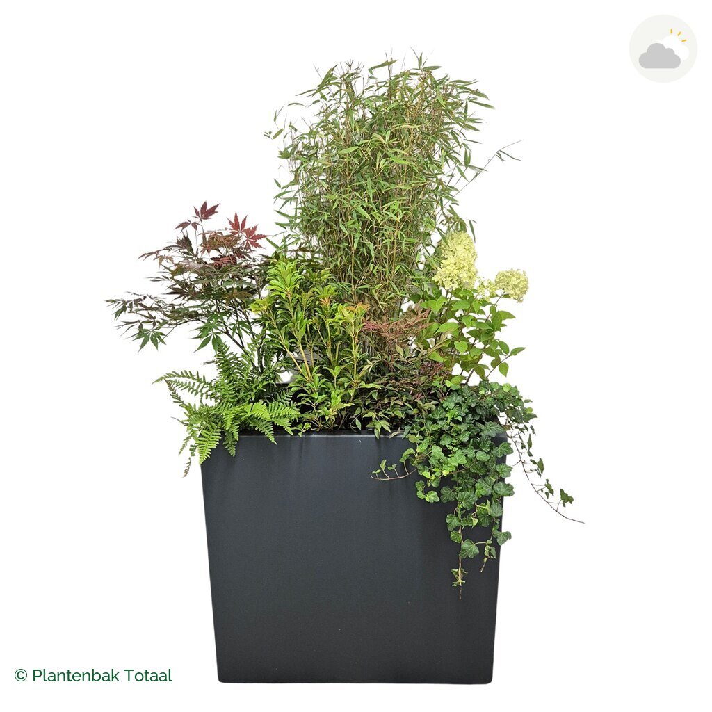 productfoto van plantenbak Polyester Carrez Rechthoek Set Himalaya
