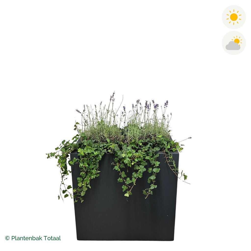 productfoto van plantenbak Polyester Carrez Rechthoek Lavendel Combinatie