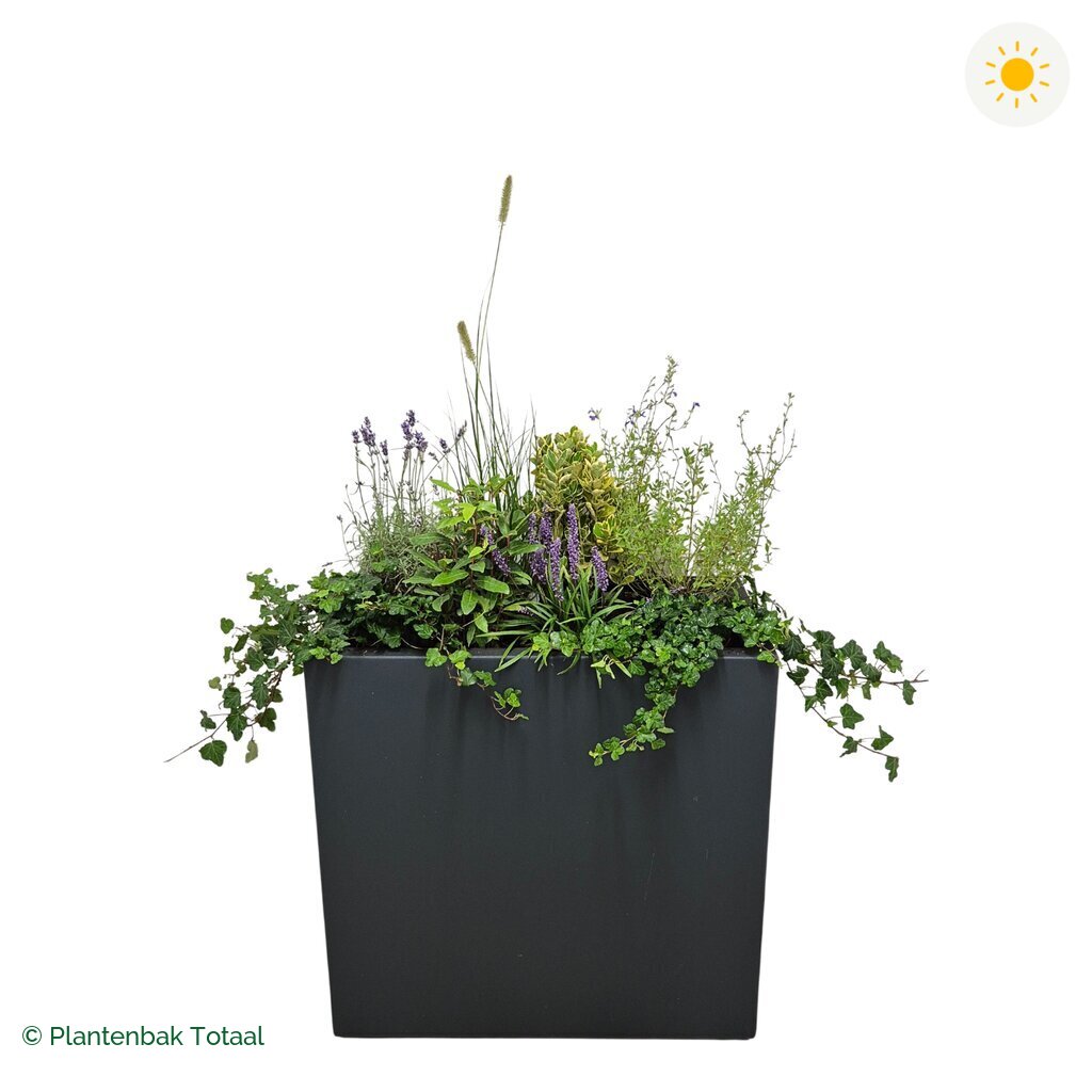 productfoto van plantenbak Polyester Carrez Rechthoek Set Provence