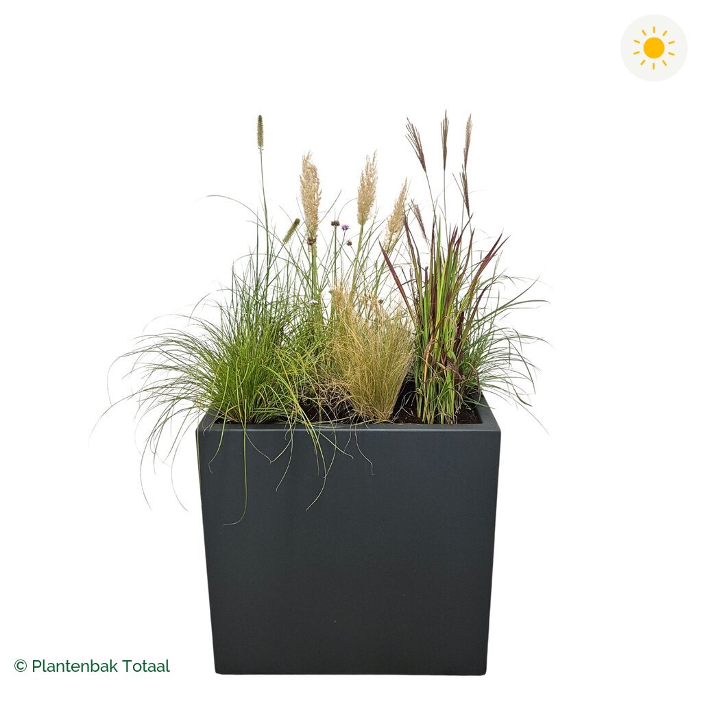 productfoto van plantenbak Polyester Carrez Rechthoek Set Savanne