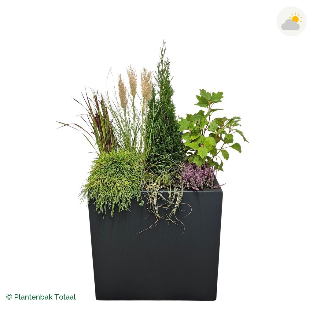 productfoto van plantenbak Polyester Carrez Rechthoek Set Veluwe