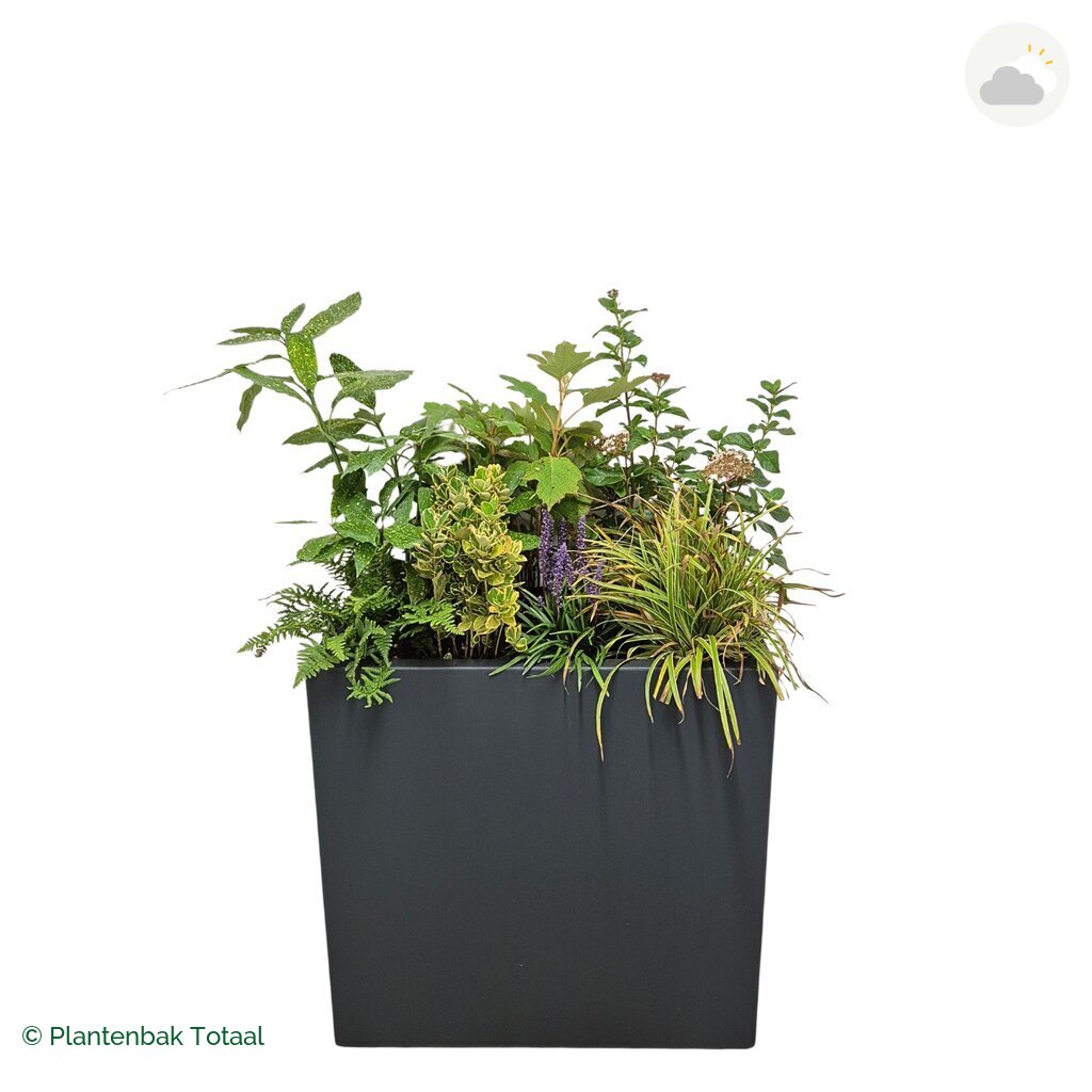 productfoto van plantenbak Polyester Carrez Rechthoek Set York