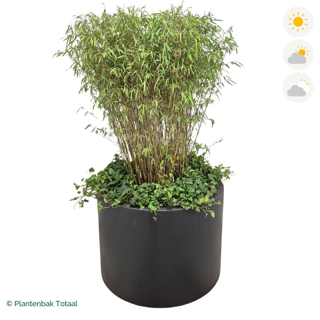 productfoto van plantenbak Polyester Circum Bamboe Combinatie