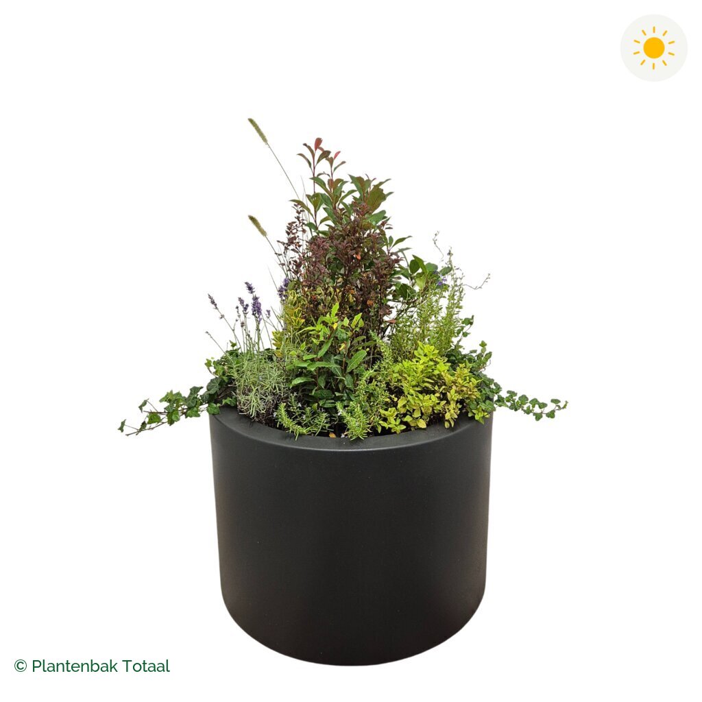 productfoto van plantenbak Polyester Circum Set Provence