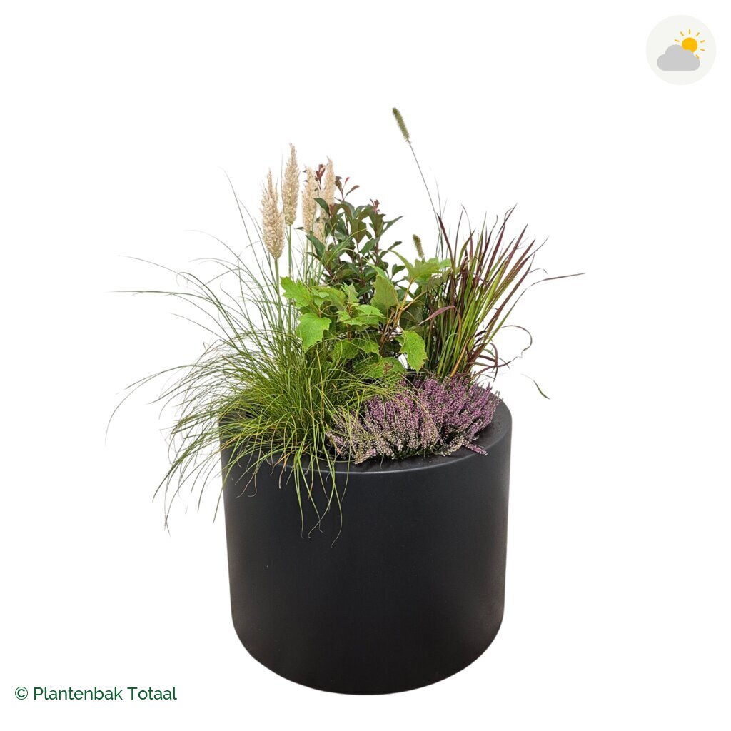 productfoto van plantenbak Polyester Circum Set Veluwe
