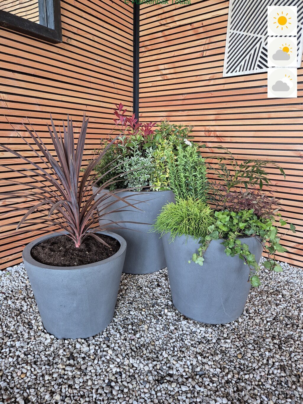 productfoto van plantenbak Fiberstone Bucket - Planten Set