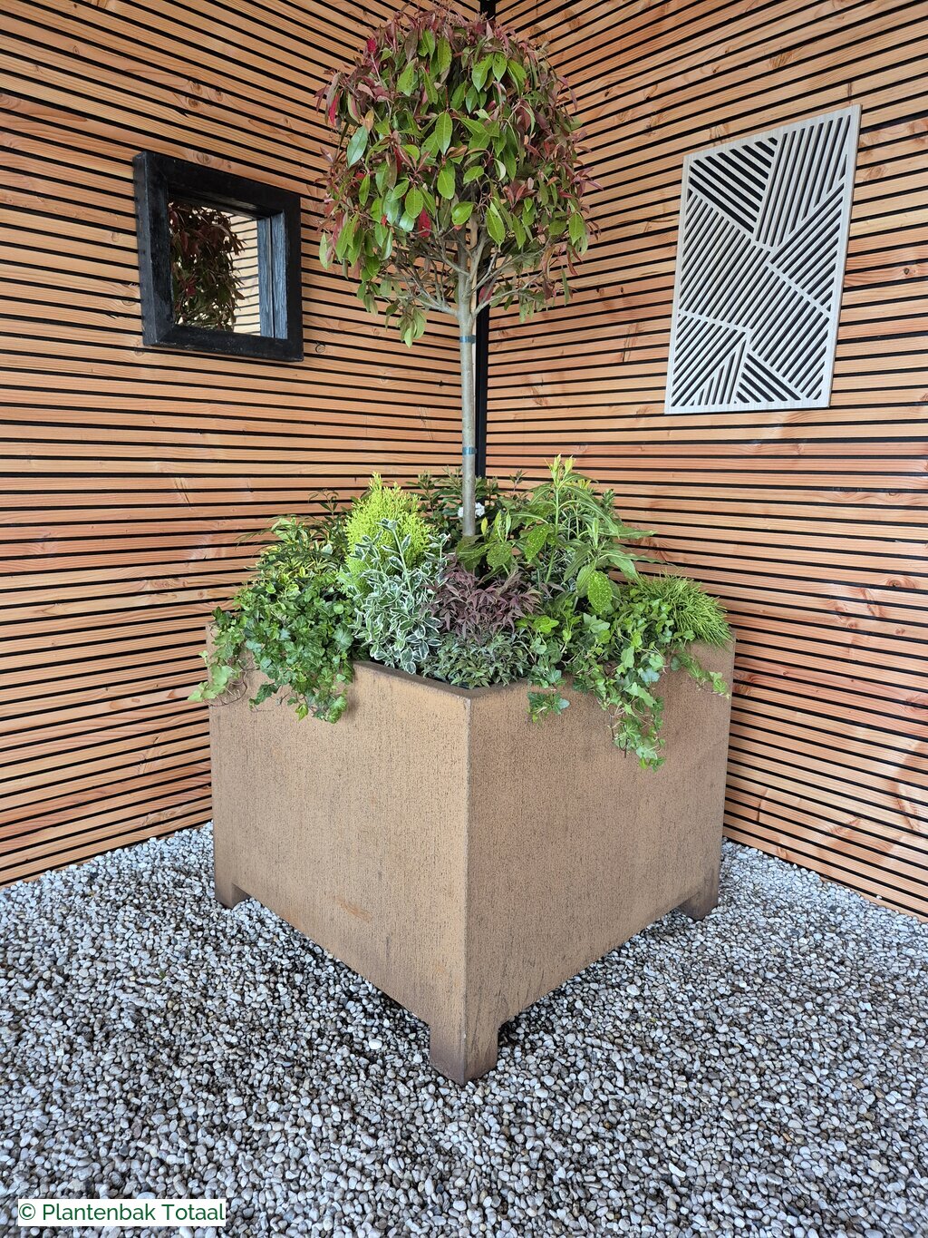 productfoto van plantenbak Cortenstaal Carrez - Planten Set