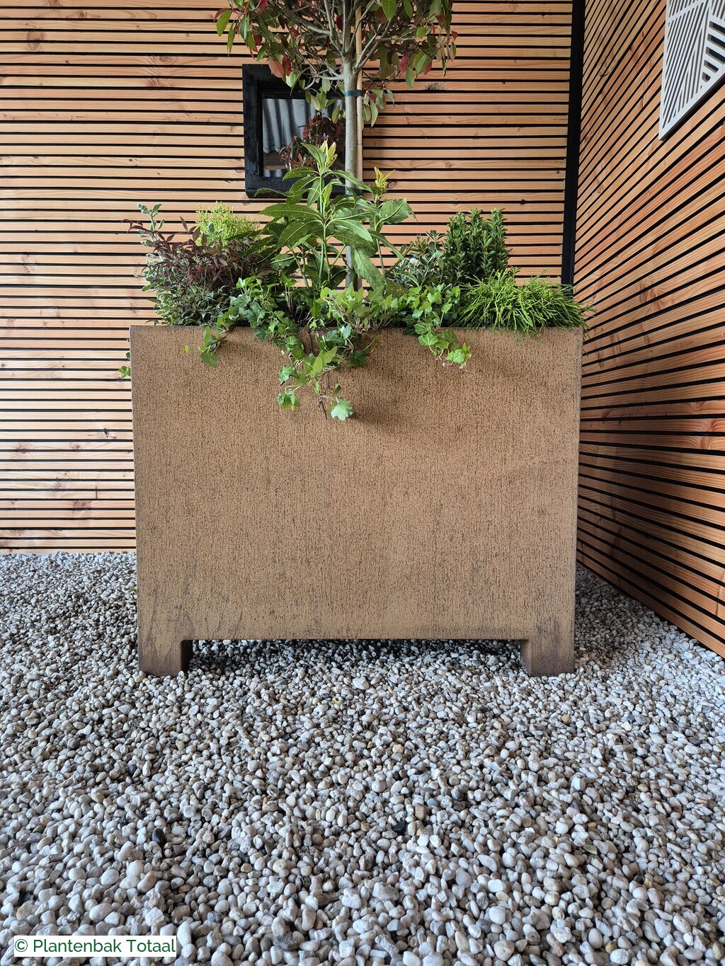 productfoto van plantenbak Cortenstaal Carrez - Planten Set