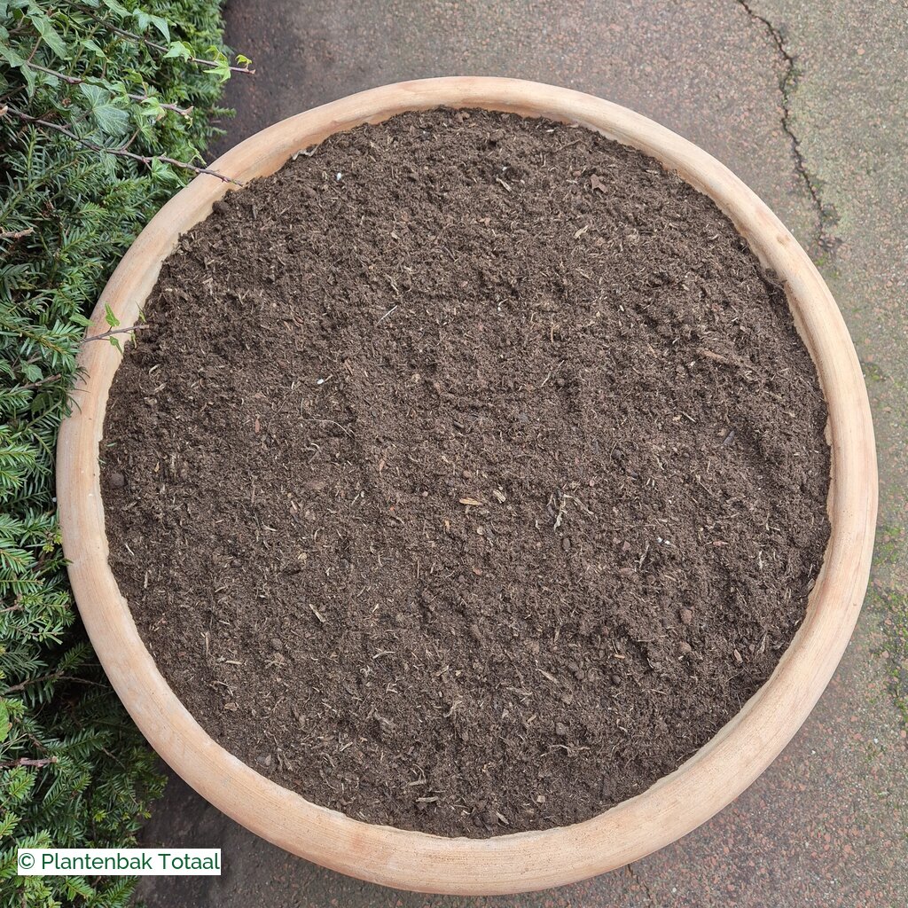 productlijn foto van plantenbak TC Pot rond
