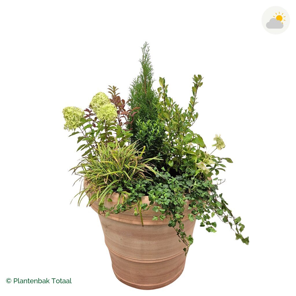 productfoto van plantenbak Terracotta Pot Set Ardennen
