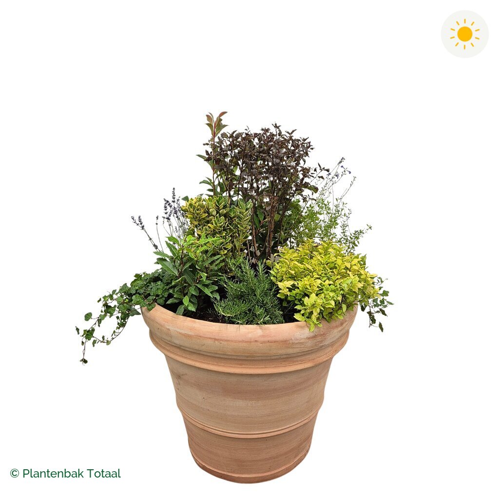 productfoto van plantenbak Terracotta Pot Set Provence