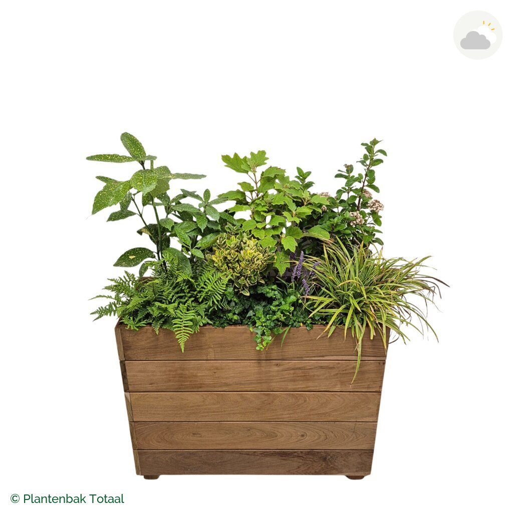 productfoto van plantenbak Hardhout Granada Rechthoek York