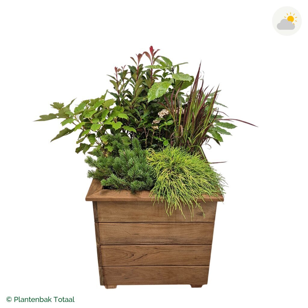 productfoto van plantenbak Hardhout Granada Vierkant Eifel