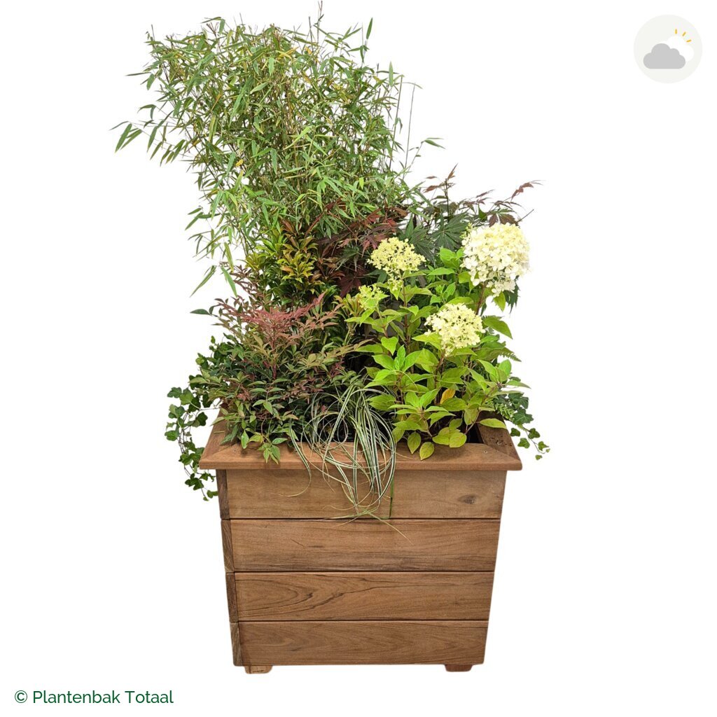 productfoto van plantenbak Hardhout Granada Vierkant Himalaya