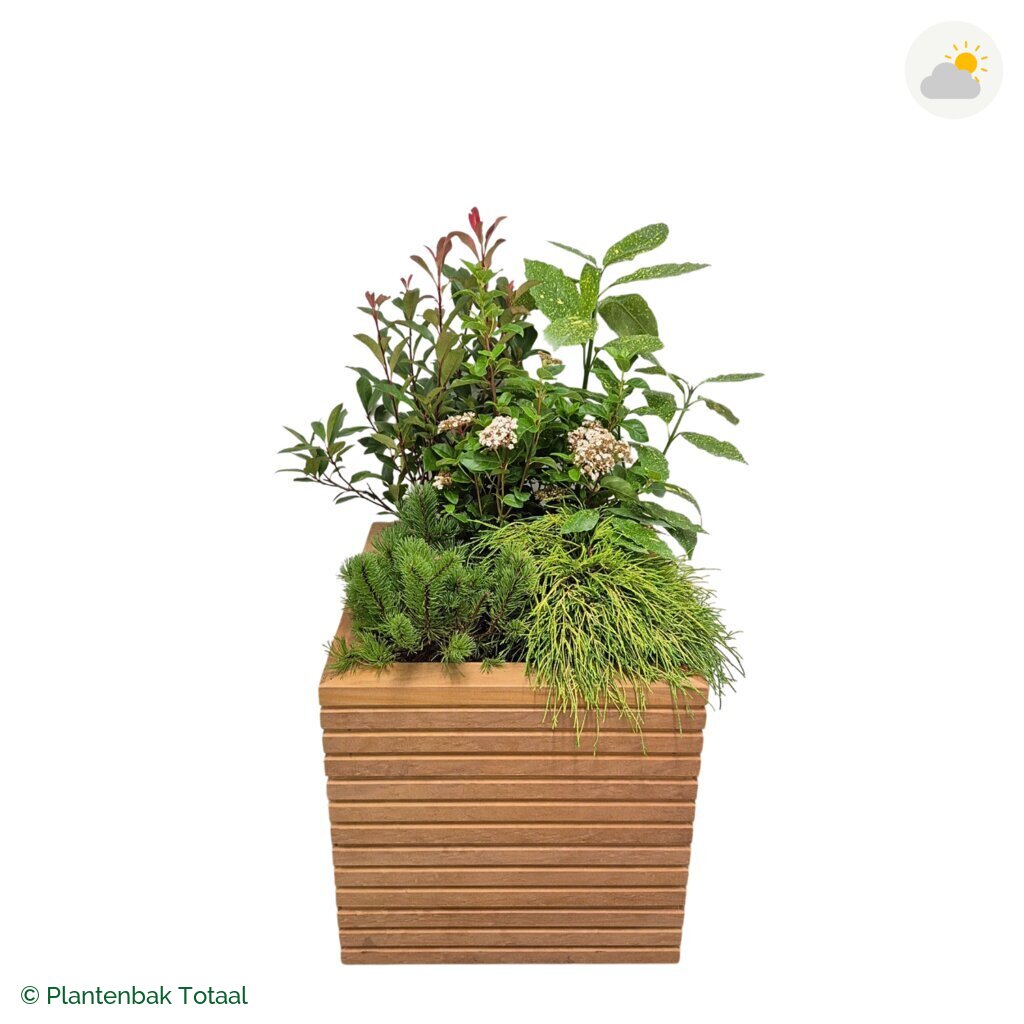 productfoto van plantenbak Hardhout Malaga Set Eifel
