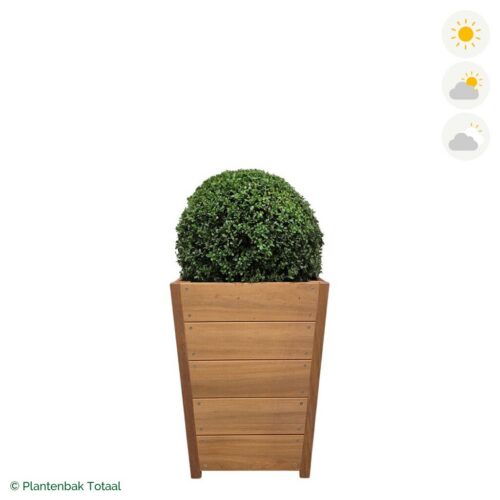 productfoto van plantenbak Hardhout Tap Japanse Hulst