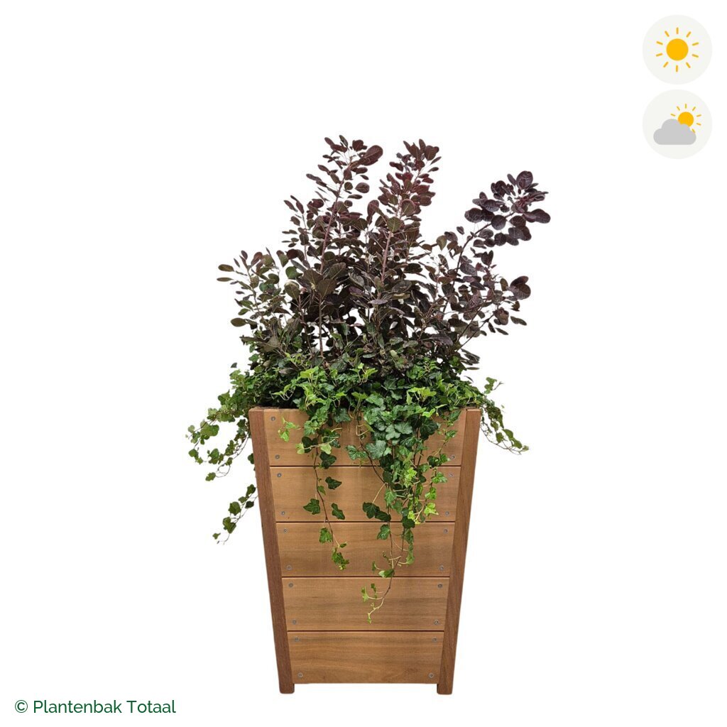 productfoto van plantenbak Hardhout Tap Pruikenboom Combinatie