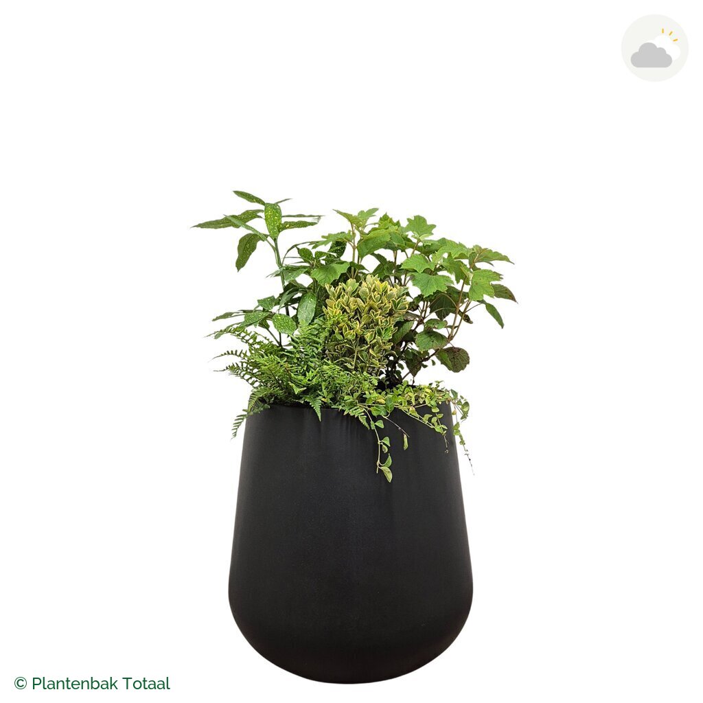 productfoto van plantenbak Fiberstone Pax Set Amazone