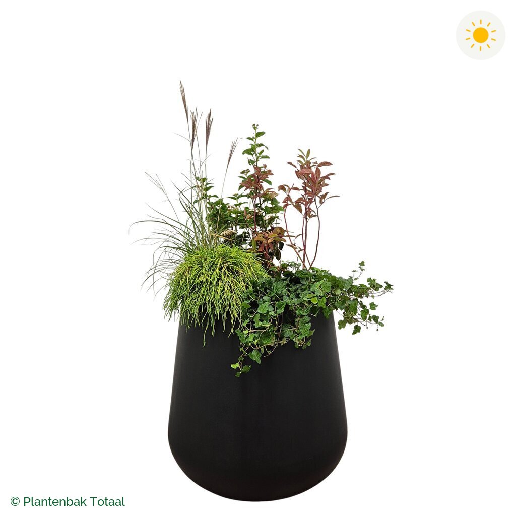 productfoto van plantenbak Fiberstone Pax Set Bretagne